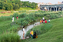 景观群采集到A风格-红树林--湿地--保护区