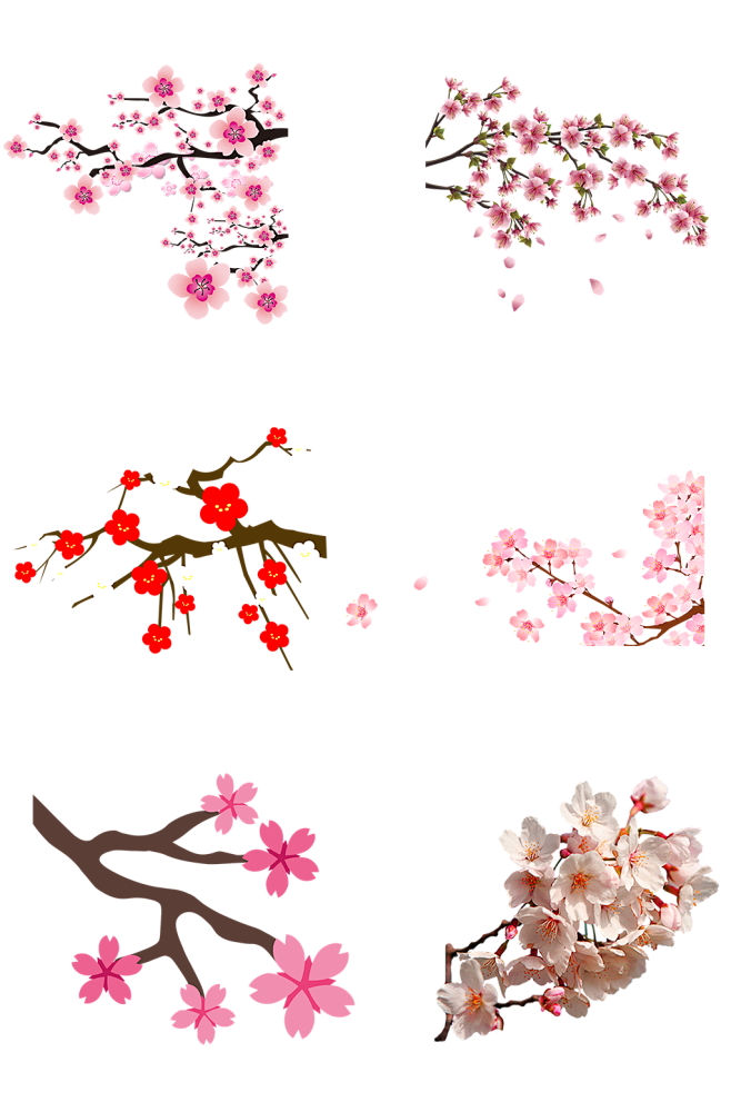 梅花枝