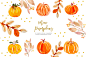 Thanksgiving clipart, Mini Pumpkins : These are perfect for every projects: • Art prints • Logos • Packaging • Stationery • Merchandise • Scrapbooking projects • Website and Social Media Banner • Book cover • Invitations •