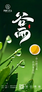 谷雨