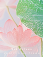 Midjourney-创意图