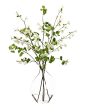 Dogwood (WF564): Dogwood Viburnum Branch, White Green, Glass Bubble,30w24d45h: 