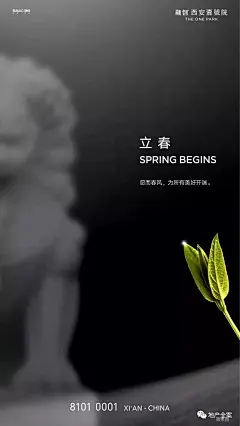 【参考】立春节气地产创意海报
