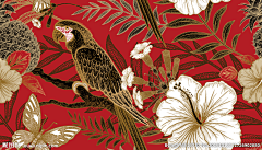 小系xys采集到插画（手绘、C4D合成主体）