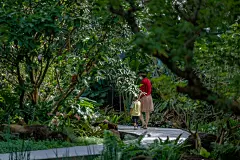 花境设计/园林设计/景观设计，平面图、效果图代做； ① 植物分析图绘制，包括植物高度分析、种类分析、季相分析、色彩分析等等； ② 植物场地图绘制，包括彩平图、道路分析、功能分区； ③ 植物施工图绘制，包括植物配置表、植物花期表、植物养护表、植物施工点位图、植物清单等；√纯设计 √设计+上门指导 √ 设计+施工