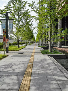 流光碎影中的青春飞过夏天采集到景观——道路街景/铺装