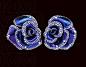 Margherita Burgener earclips in shining night blue titanium and gold set with diamonds.: 