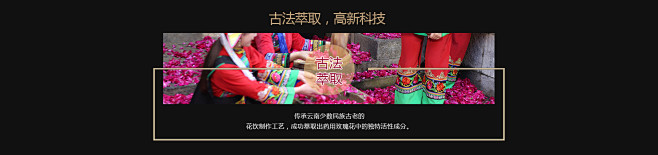 玫瑰花鲜素官方网站