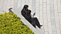 Burj Khalifa - Tom Fox-7005.jpg