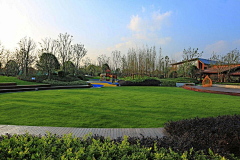 Bing-L采集到植物