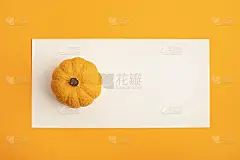 平铺着手工绘制的石膏南瓜和复制空间。秋季假期卡片模型