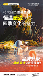 品牌升级_画板 1 副本