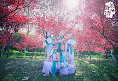 单色舞蹈中国舞教练班-#dansemm# #壁纸# #单色舞蹈#