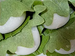 kasiwa moti(橡木米糕)的照片剪报