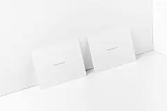 名片 名片设计 名片贴图 贴图 标志 空白贴图  贴图  VI VI样机  贴图 素材 源文件 下载 PSD