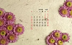 高清2010年10月花卉宽月历壁纸桌面壁纸1