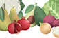 Fruits & Vege illustrations : Ilustracje owoców  i warzyw, które wykonałam dla pewnej mobilnej gry / Illustrations of fruits and vegetables, which I made for a mobile game. 