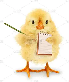 疯狂的小妞在笔记本上写着一串时髦的概念想法照片，孤立在白色背景上的搞笑人物。记事本制作清单小鸡海报