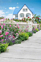 #花园设计# 造景篇：白色的篱笆栅栏最适合繁花盛开的季节，充满了纯洁浪漫的气息，适合攀缘也适合做花境的背景