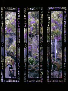 兰蓝樱采集到家居.居家.庭院