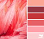 Design Seeds : Design Seeds color palettes ... posted daily for all who love color.