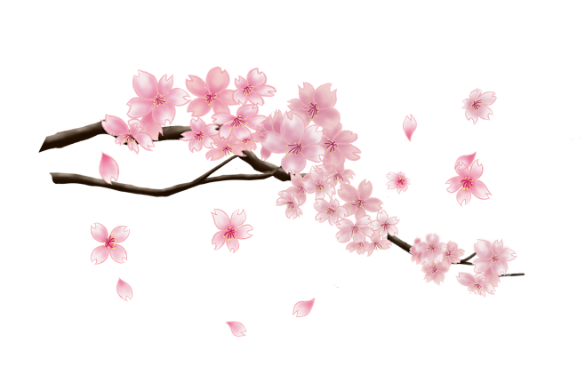 樱花树枝