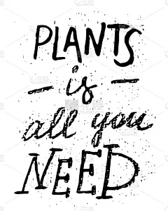 园艺,雕刻图像,植物群,全部,短语,单词,贺卡,背景分离,谚语,简单