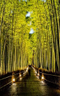 竹 · 庭院-新中式