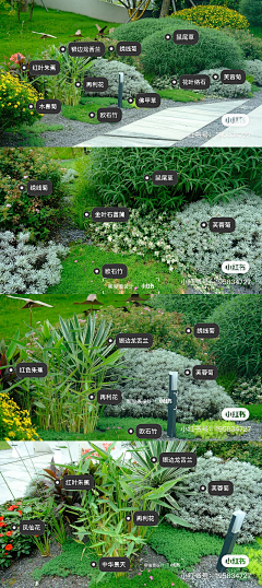 虚胖的二大爷采集到景观——植物绿化