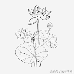 轻舞若芸采集到线稿