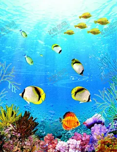 海底热带鱼 【酷图网】热带鱼,鱼群,海洋世界,海洋,海洋生物,鱼,珊瑚,贝壳,海草,乌龟,水龟,水母,石头,海底世界,儿童,乐趣,六一,立体画,手机壳,镜子,绘画,壁纸,装饰画,墙纸