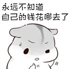 你永远不知道自己的钱花哪去了表情包仓鼠版