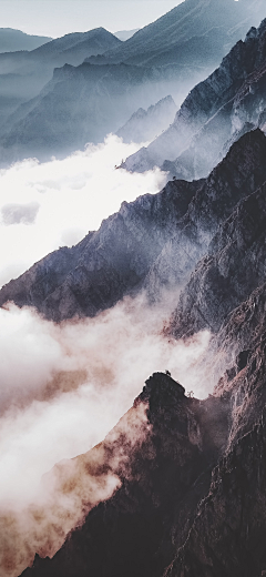 凡尘qaz采集到早安背景