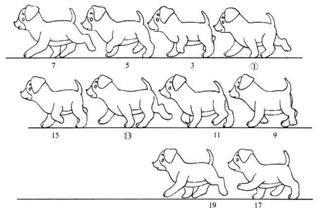 狗走路分解图片