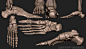 Human Skeleton, Boris Moskalenko : Medically accurate average human skeleton 3D model,with all important anatomical landmarks. Done for a client SciePro