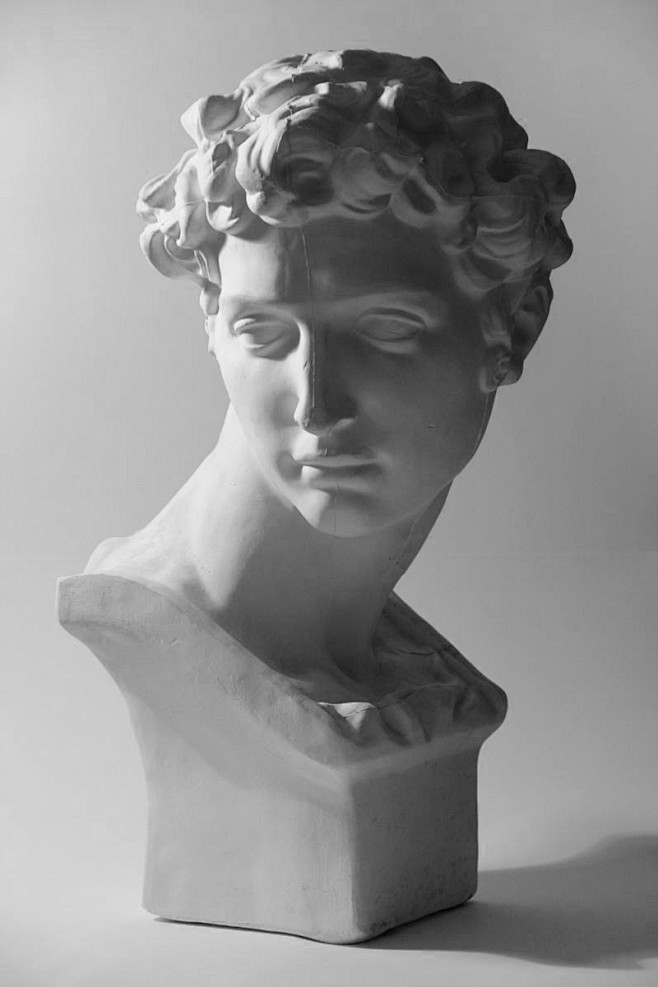 10:17:05大卫结构素描 造型二分 黑白光影 石膏人像 基础训练楚楚安该