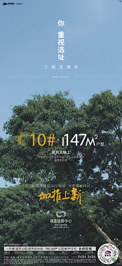 z-qiyin采集到热销 加推 系列
