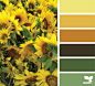 Market Hues Archives | Page 4 of 12 | Design Seeds