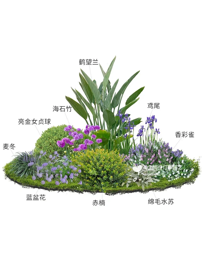 花境组合 |多年生低维护夏季花境 - 小红书-花瓣网