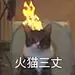 采集图片