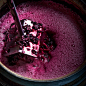 Processing Perfection : A series of images illustrating the art and process of winemaking.