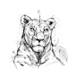 Lion, psdelux ...