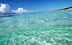 壁纸1680×1050海洋世界动态桌面壁纸壁纸 海洋世界动态桌面壁纸壁纸图片风景壁纸风景图片素材桌面壁纸
