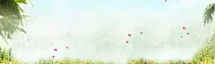 春女装清新绿色淘宝海报背景高清素材 校园 页面网页 平面电商 创意素材