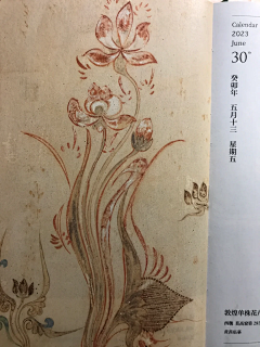 暮年晨光采集到插画