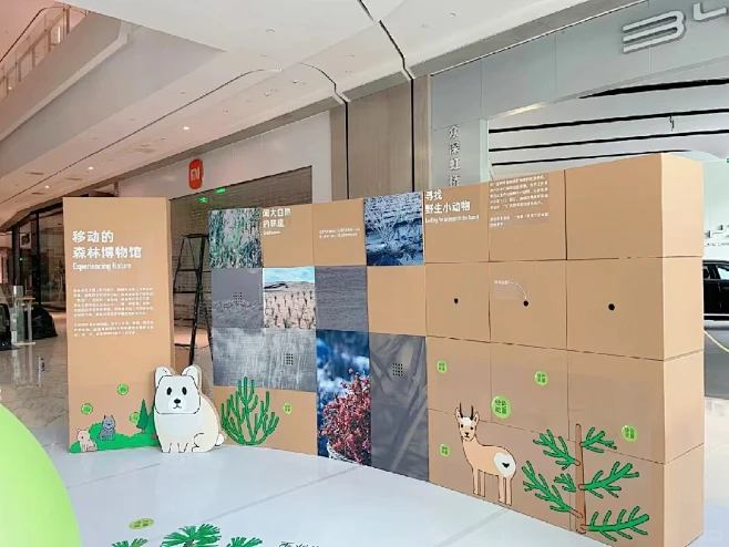 纸板创意展陈