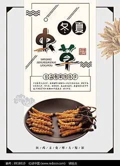 简约中医药材冬虫夏草海报