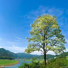 浩浩的小金库采集到一些种植的意象图