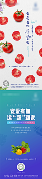 地产水果蔬菜派送创意海报