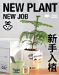 版式设计-超级植物-产品海报